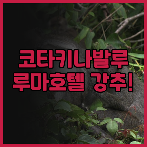 코타키나발루 디자인 호텔 The Lu