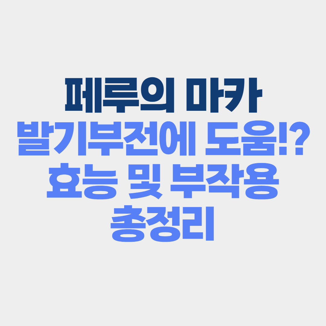 마카 효능&#44;효과&#44;부작용 총정리