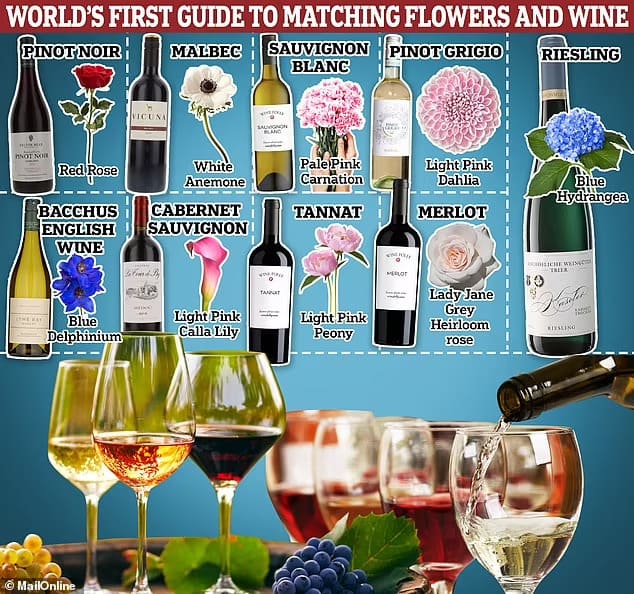와인에 가장 잘 어울리는 꽃: 세계 최초 가이드 Scientists create the world&#39;s first guide to matching wine with FLOWERS