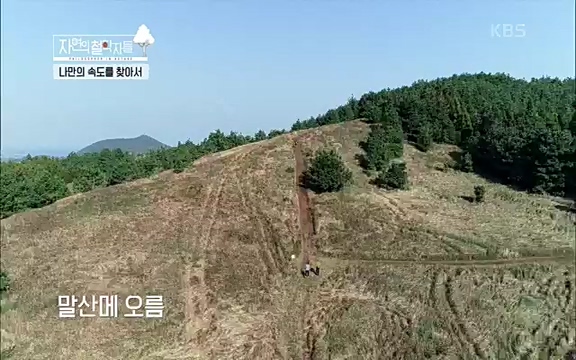 [4회] 자연의 철학자들 - KBS행복하냐고 묻는다면] 흙과 돌, 숲과의 눈맞춤 그리고 물속에서의 숨소리까지 오롯이 김창옥.ts_20220329_191205.618.jpg