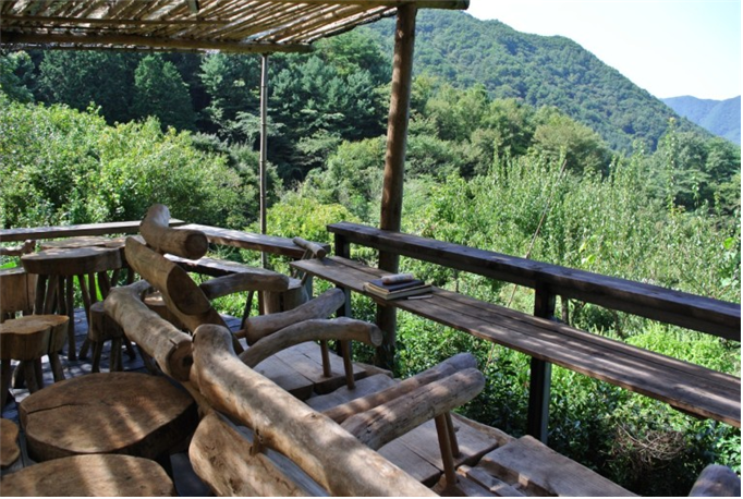 한국기행&#44; 기운차게 한 방 1부. 오죽 숲의 삼라만상