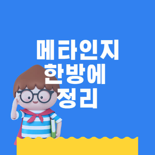  메타인지 효과와 필요성 훈련방법