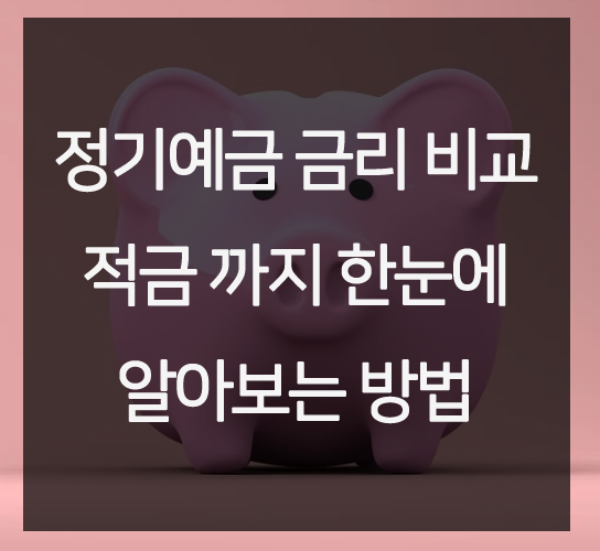  정기예금 금리 비교 적금 까지 한눈에 알아보는 방법