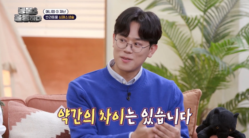 반려인들은 알아두면 좋을 만한 정보들...jpg | 인스티즈