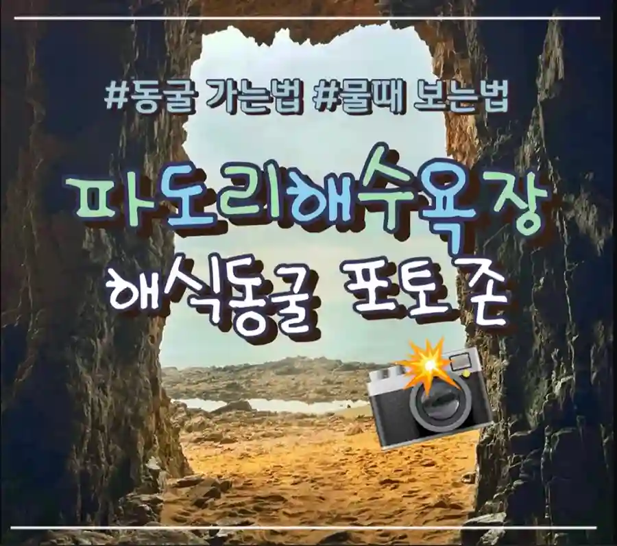  파도리 해식 동굴 사진촬영 하기 좋은 태안 동굴 물때표 보는법