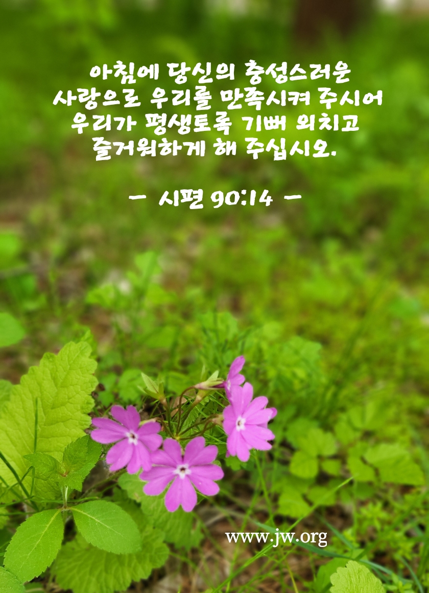인연 이미지