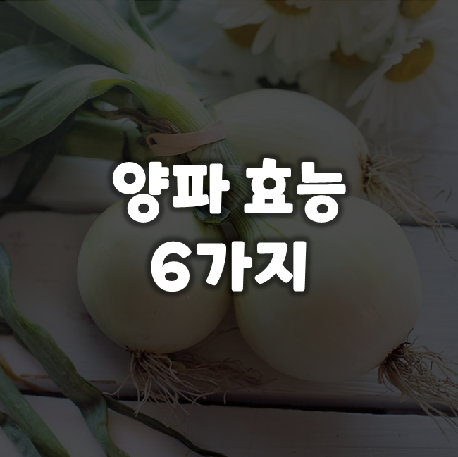  양파 효능 6가지 - 건강해지세요.