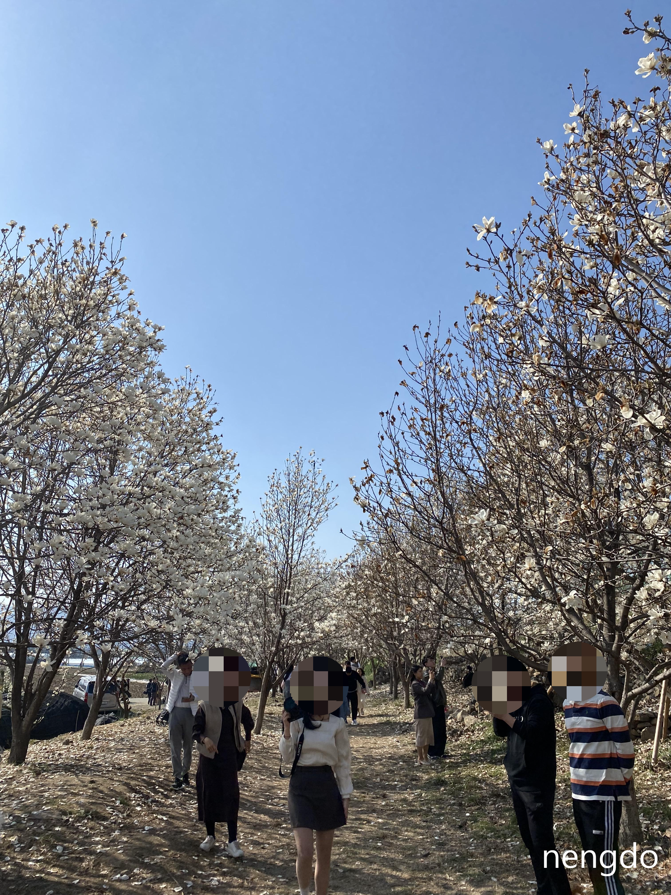 경상남도 숨은 명소 김해, 목련산림리뷰 4