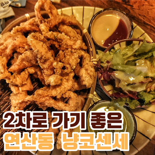  2차로 가기 좋은 일본식 선술집 연산동 냥코센세