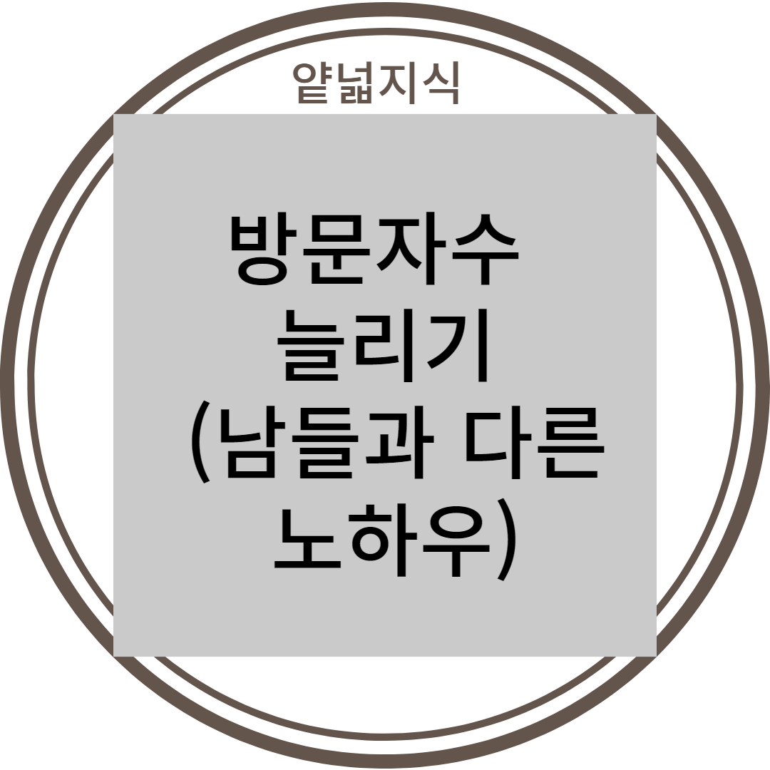  블로그  방문자수 늘리기 (다음 최적화), 구글 애드센스 승인