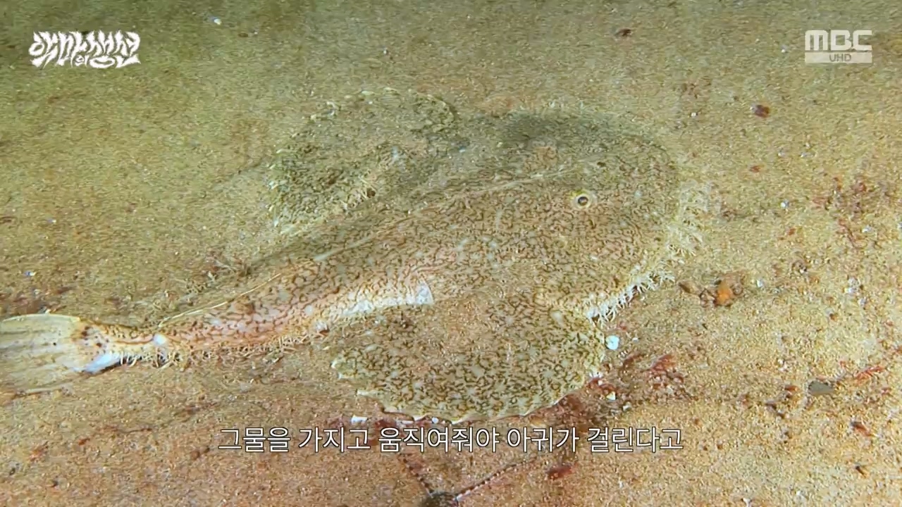 MBC 네트워크특선.E1670.240403p-NEXT.mp4_20240403_205604.719.jpg