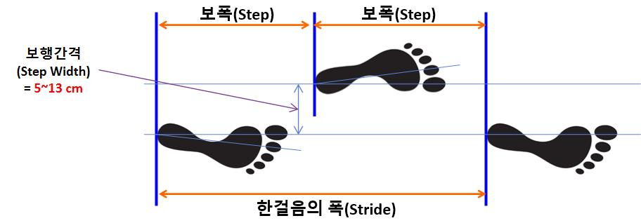 보행간격(step width) / 보폭(Step) / 한걸음의 폭(stride) ; 보행 주기(gait cycle)