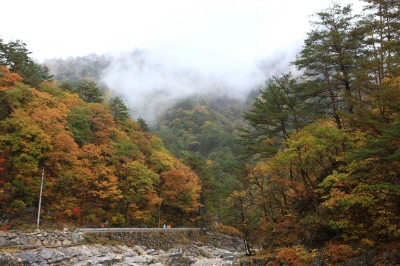 설악산-케이블카-사전-예약-불가!-현장-구매-방법&amp;#44;-요금&amp;#44;-운영시간