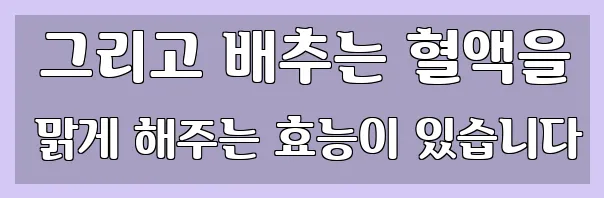  그리고 배추는 혈액을 맑게 해주는 효능이 있습니다