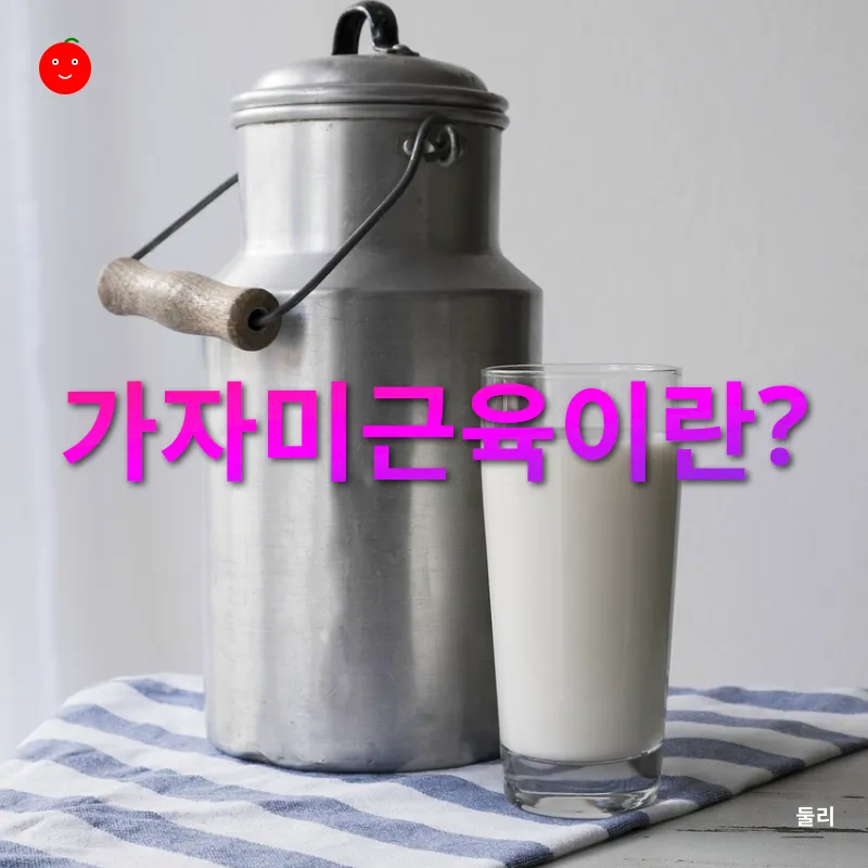 실내 식물 행잉_1