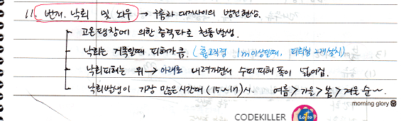  [비생물적피해론] 번개, 낙뢰 및 뇌우