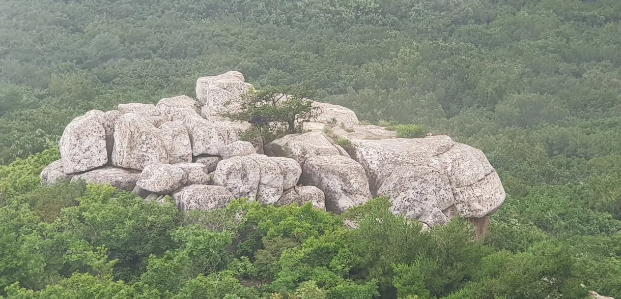 부산 금정산