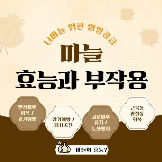  마늘 효능 10가지와 부작용