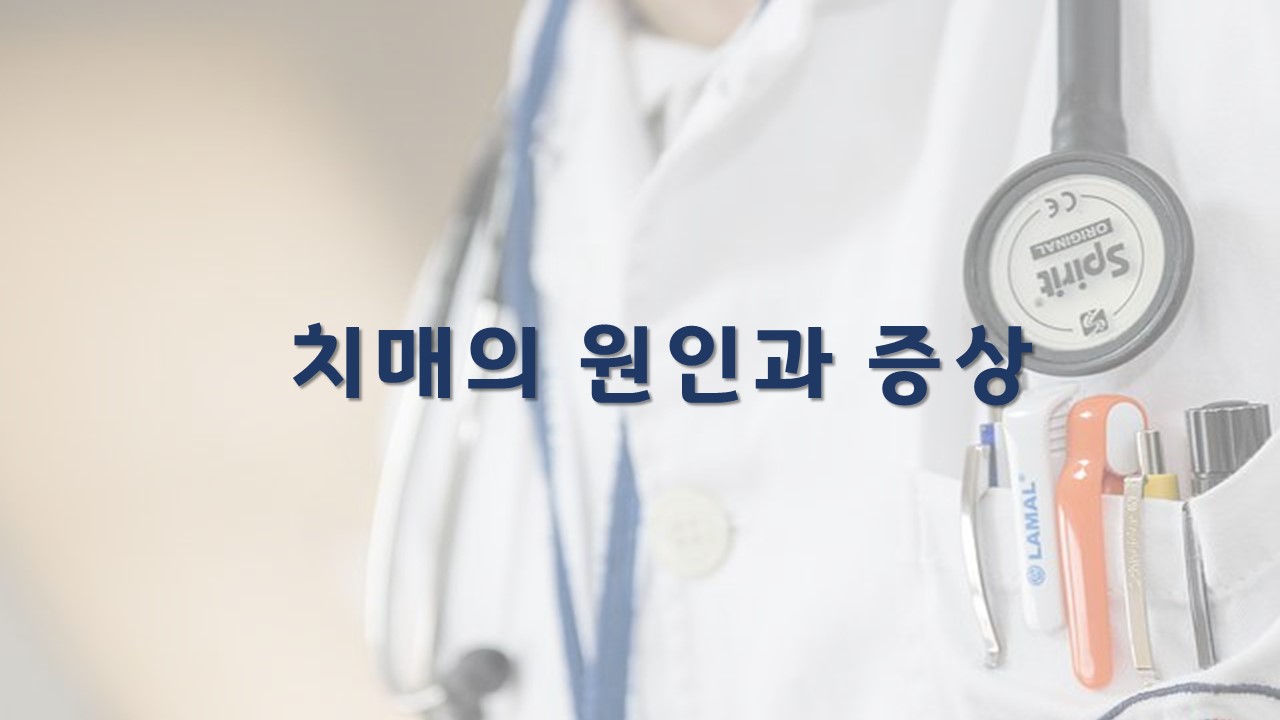  치매의 원인과 증상