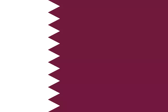 경제야놀자 카타르4