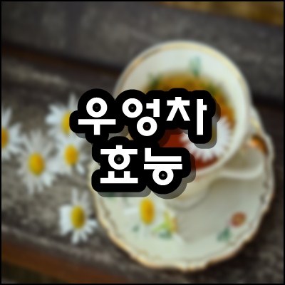  우엉차효능 부작용