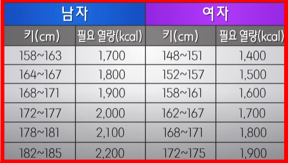 키에 따른 하루 필요열량
