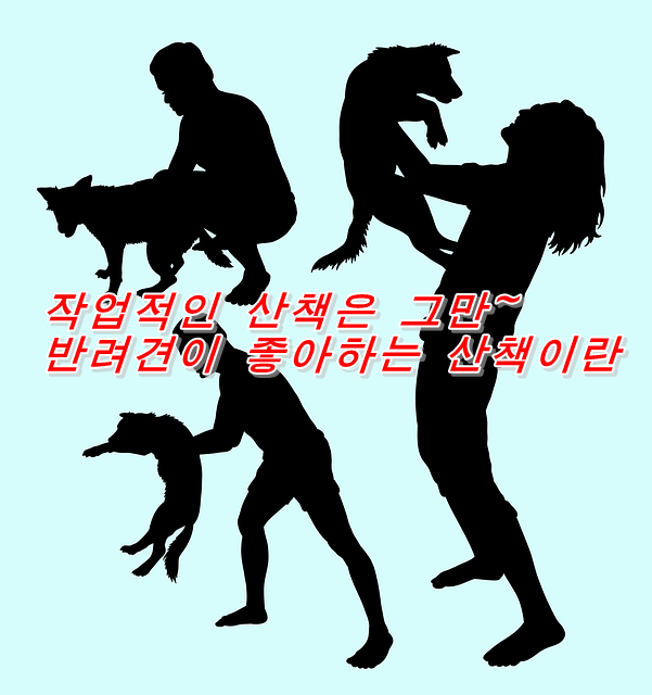  작업적인 산책은 그만~반려견이 좋아하는 산책이란
