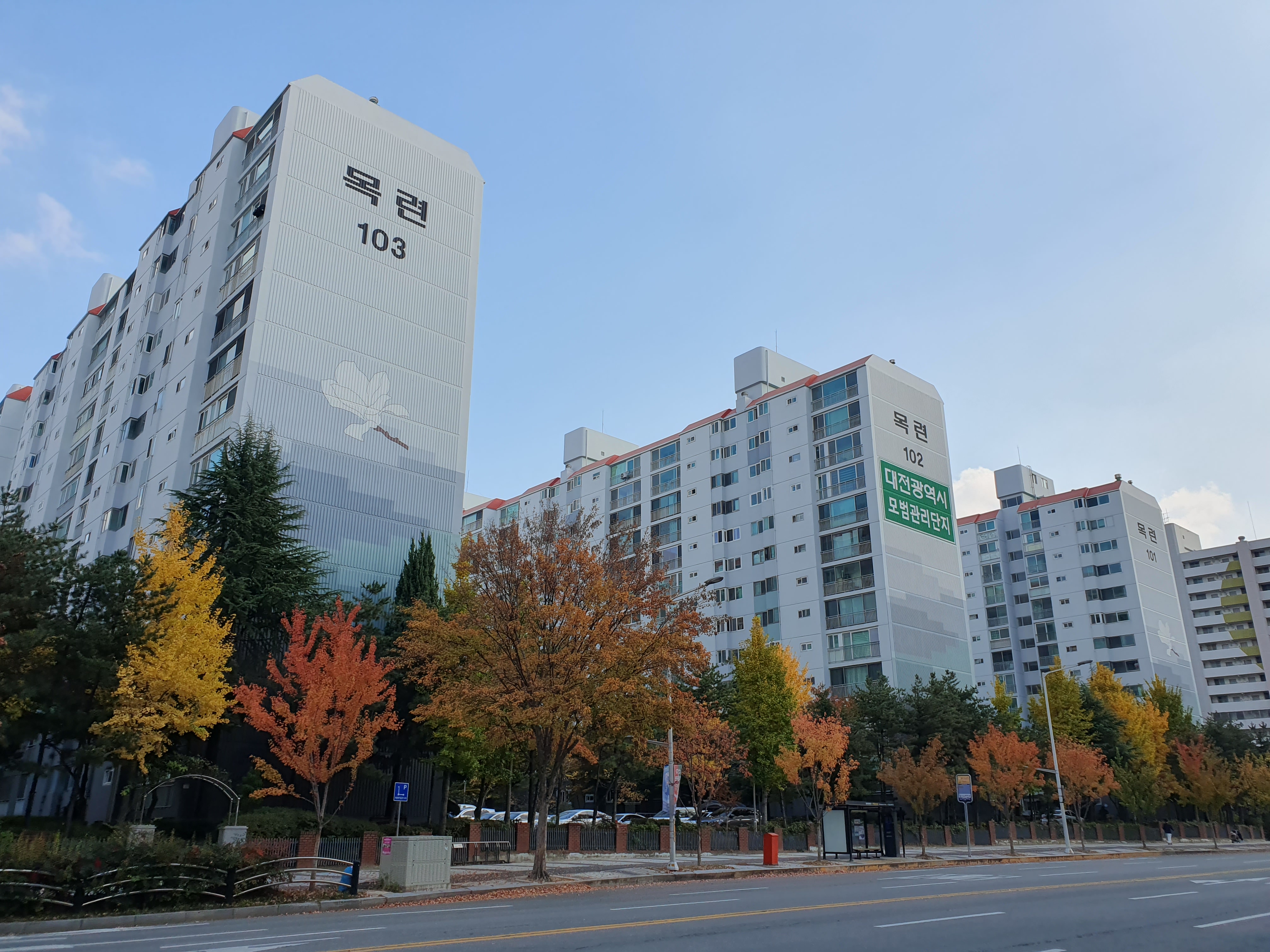 둔산동 오랜만?!