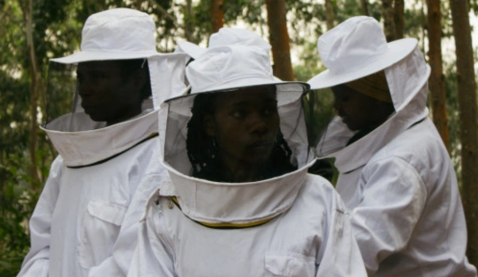 Empowering Rwandan Women UNESCO - Guerlain&#39;s Women for Bees Programme
