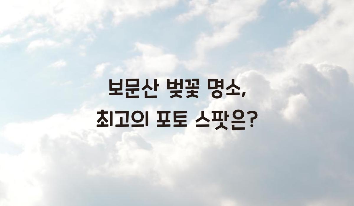 보문산 벚꽃 명소  