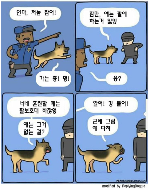  경찰견들이 짤리는 이유