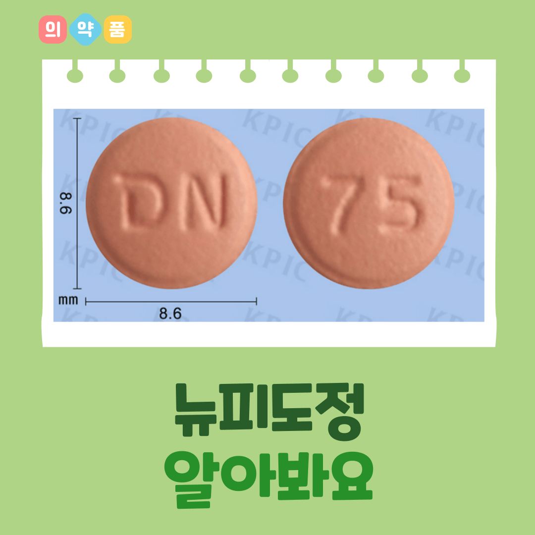 정 이미지
