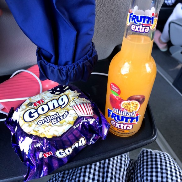 7일차 1편 :: 트로이 목마&트로이 유적지, 고등어케밥 2019. 8. 15. 댜든이의 터키 가족여행 6