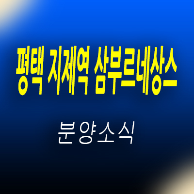  평택 지제역 삼부르네상스 오피스텔 세교동 하이엔드 아파텔 평택 투룸 복층 오피스텔 분양가 및 입지분석 안내