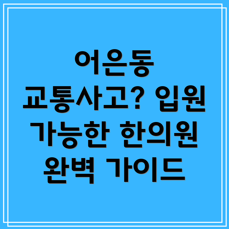대전 유성구 어은동 교통사고 한의원