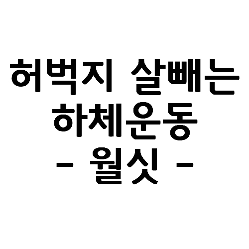  허벅지 살 빼는 다이어트 하체운동 홈트레이닝, 월싯(Wall sit) 7가지 동작
