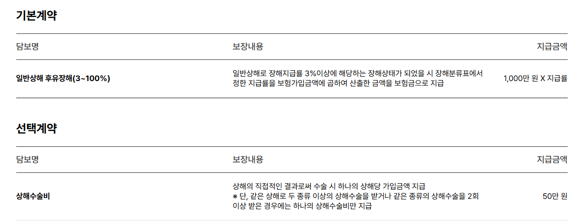 주요 보장 내용