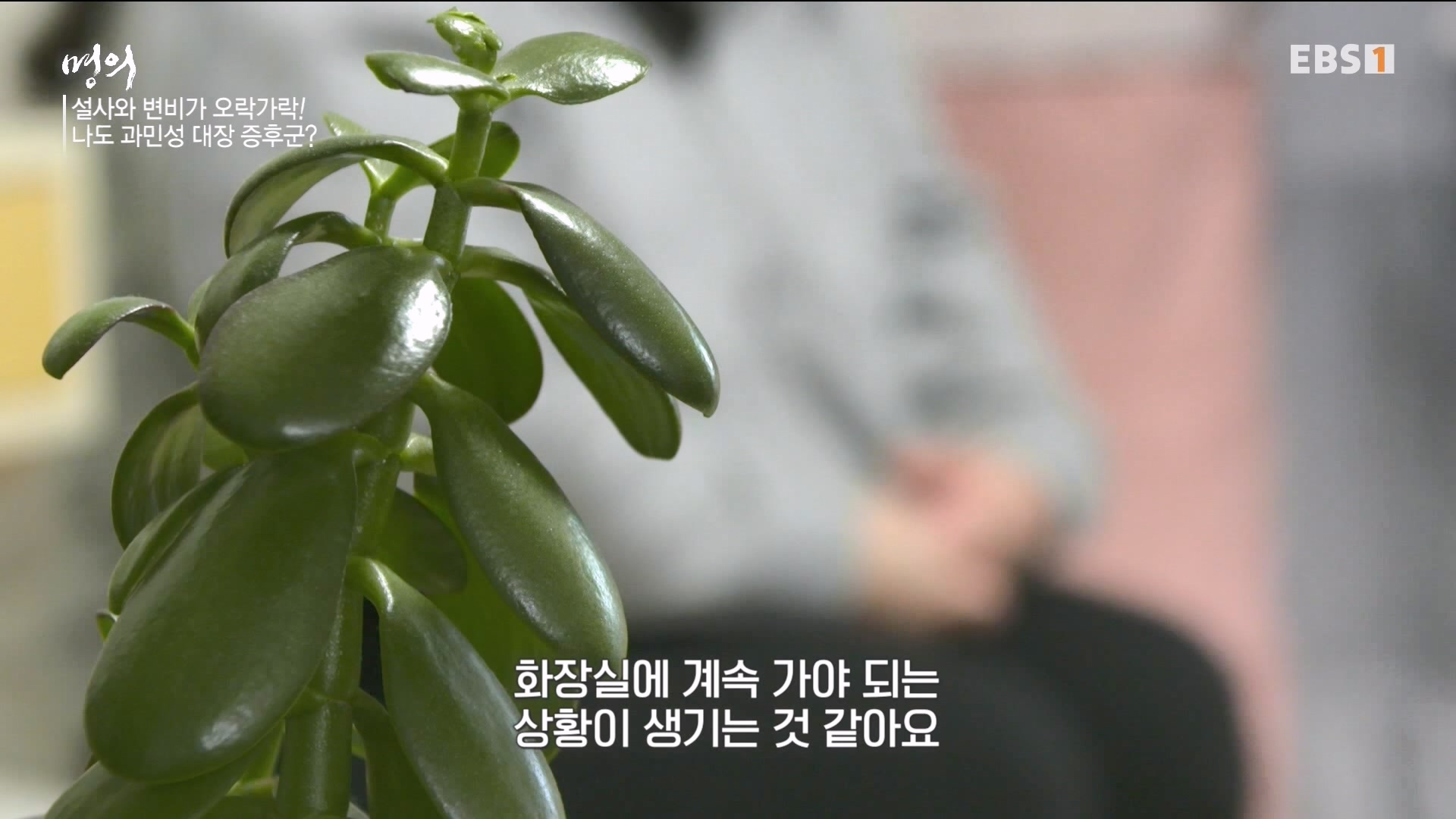 잘 먹고 잘 싸는 법 240323.mp4_20240324_174700.392.jpg