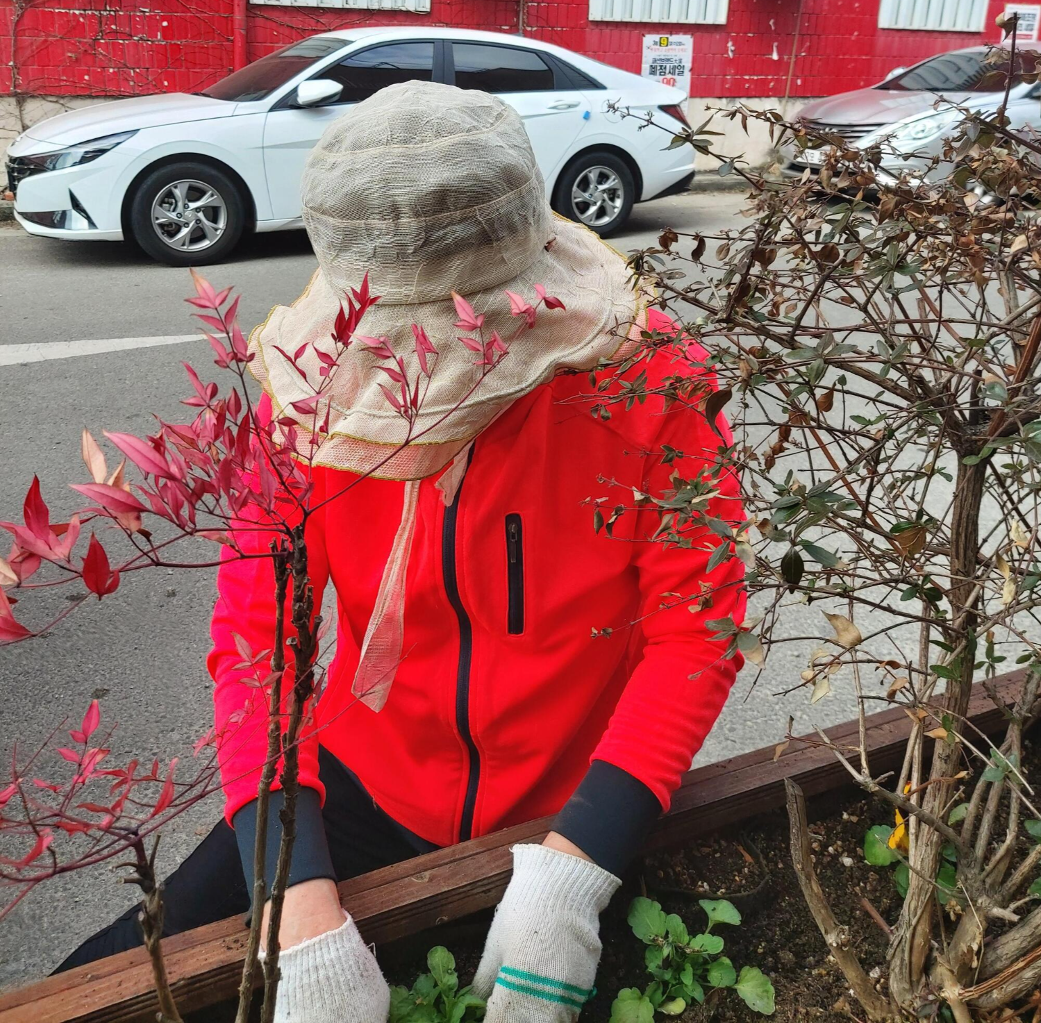 화목정원 이미지