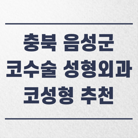 충북 음성군 코수술 성형외과 추천 코성형 잘하는 곳 가격 비용 금액 후기.png