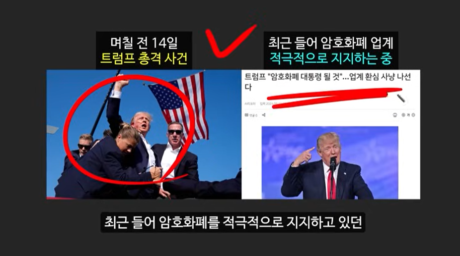 일론 머스크가 주목한 베이비 도지 코인, 급등 가능성은?