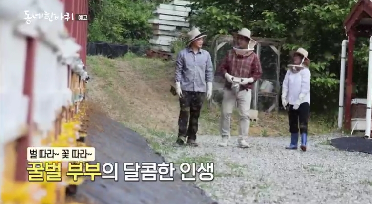 동네한바퀴-인제-꿀벌가족-양봉장