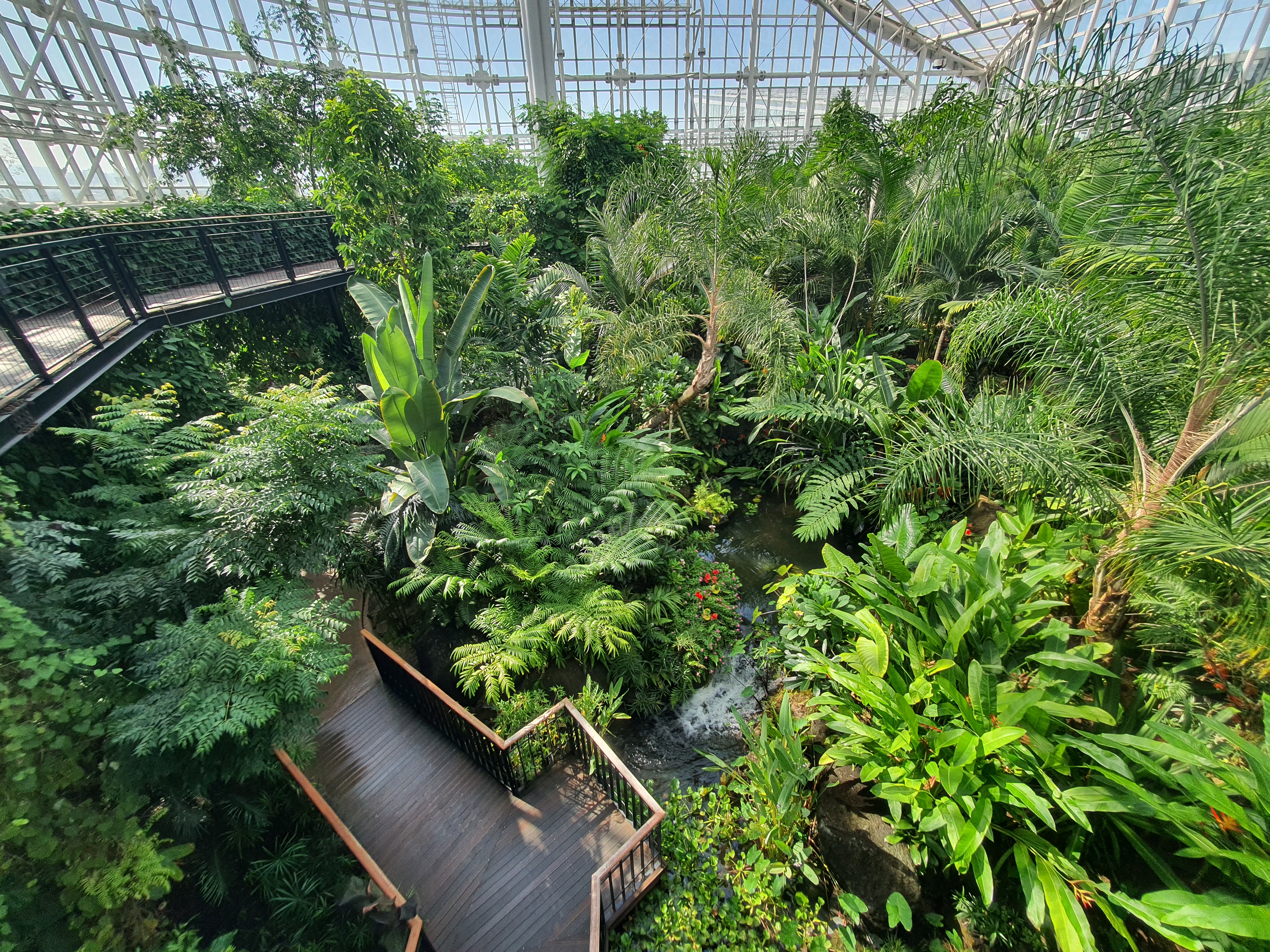 국립세종수목원 야간 개장 이용 안내 할인 혜택 세종 가볼만한 곳
