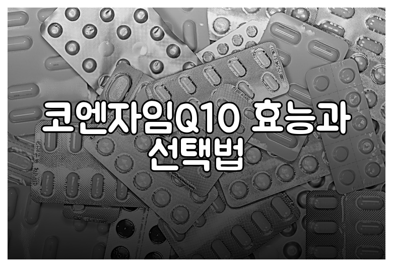 코엔자임Q10 효능과 선택법