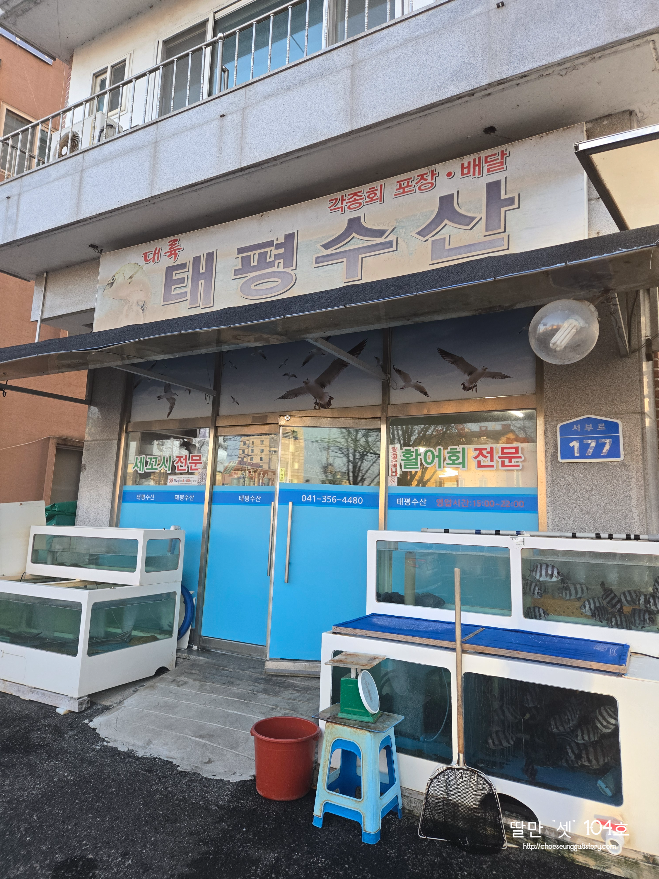 태평수산 2