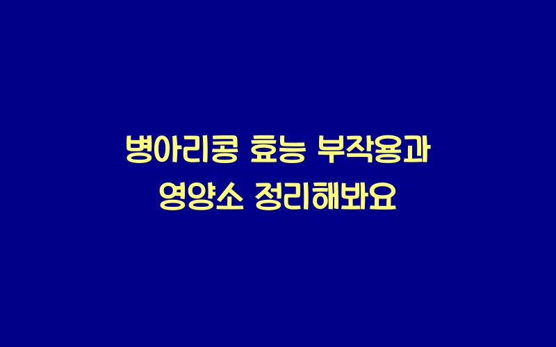 병아리콩 부작용