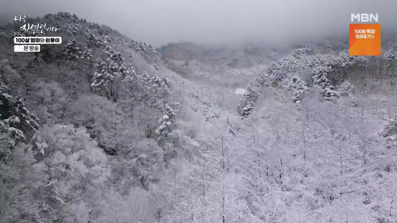 나는 자연인이다.E597.240314p-NEXT.mp4_20240314_195522.100.jpg