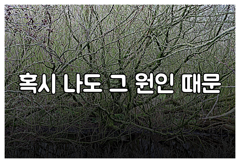 혹시 나도 그 원인 때문