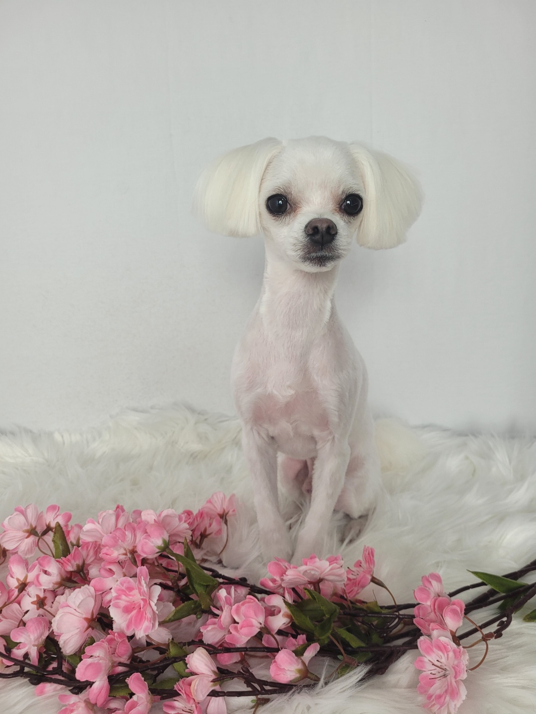 보라미용실 이미지