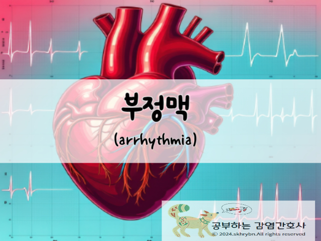 부정맥(arrhythmia)이란? 원인, 증상 및 치료 방법 가이드